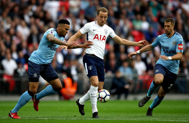 展现了其卓 展现了其卓